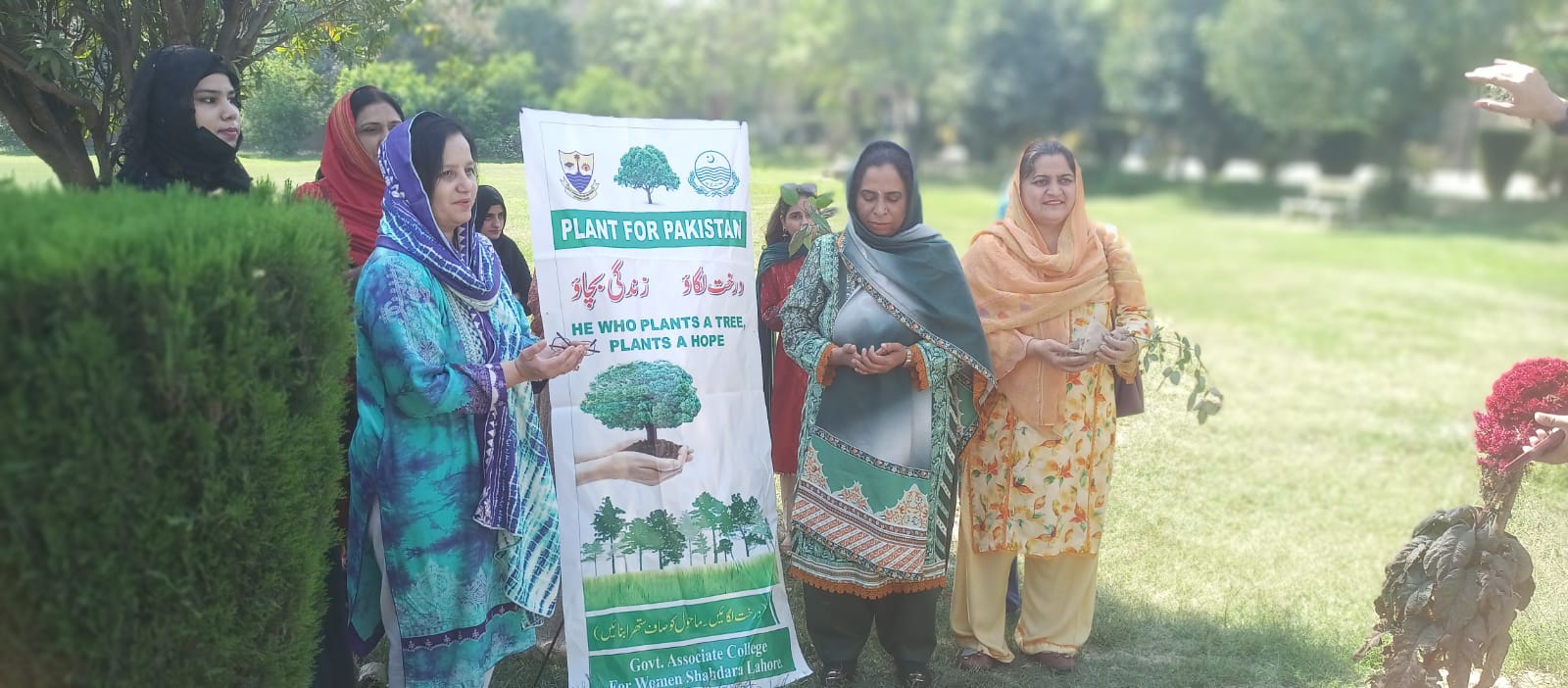 Tree Plantation